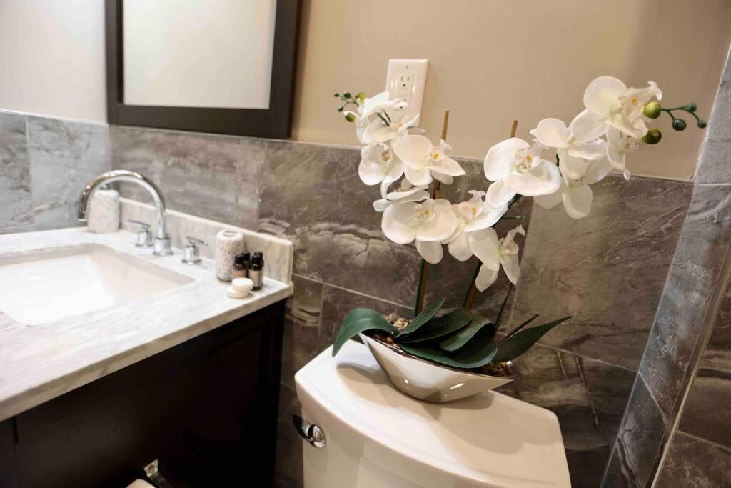 504 Luxe 1Bdr Apt In Center City Filadelfia Zewnętrze zdjęcie